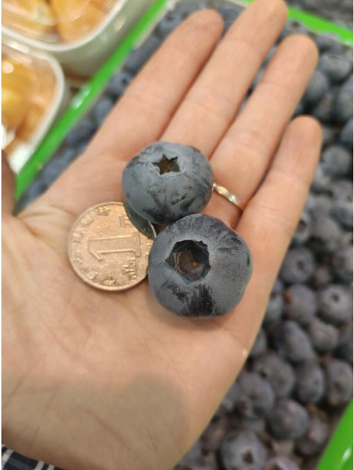 巨无霸散蓝莓半斤 商品图2