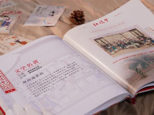 【超值赠品：帆布袋/卡片明信片】《中国古典文学名著·红楼梦》邮票珍藏册 系列邮票1-5全收录 含套票、小型张等品类， 商品图3