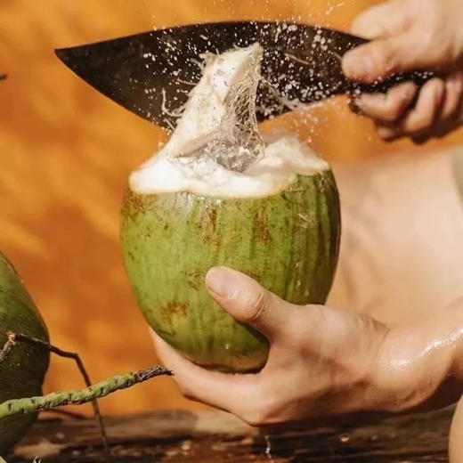 零点生椰水1L 商品图2