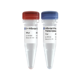 HiScript II Reverse Transcriptase