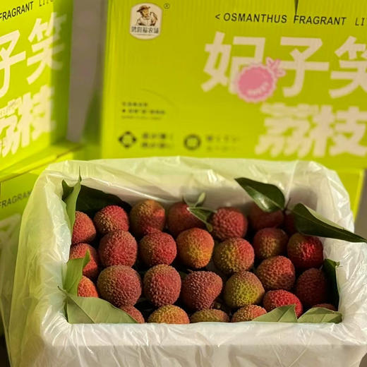 海南 妃子笑鲜荔枝 不泡水的干荔枝，孩子放心吃 商品图1