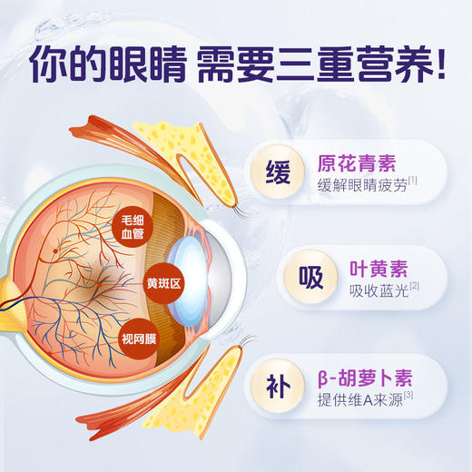 津妍时光蓝莓叶黄素 β胡萝卜素 软胶囊 护眼缓解视疲劳 0.5g*60粒/瓶 商品图5