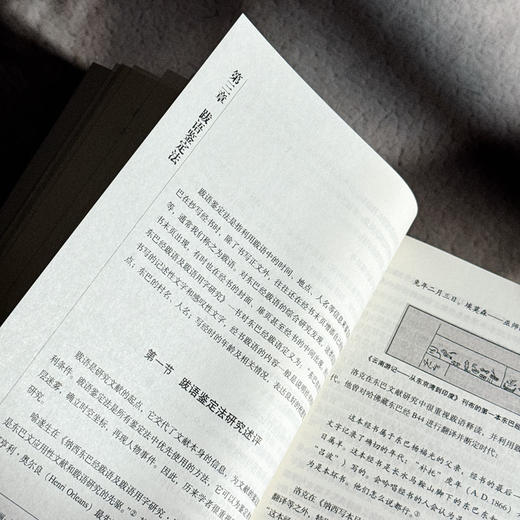 哈佛燕京学社藏纳西东巴经谱系分类方法研究 张春凤 商品图10