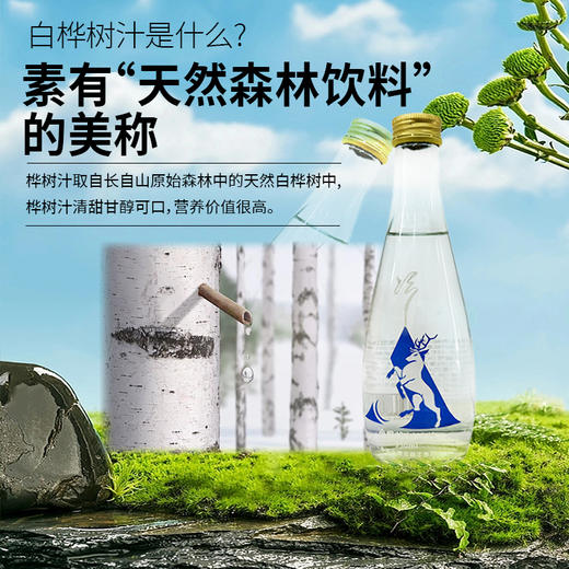 冷极白桦树汁 原汁原味 礼盒装 送货上门 甄选大兴安岭野生植物清甜 商品图4