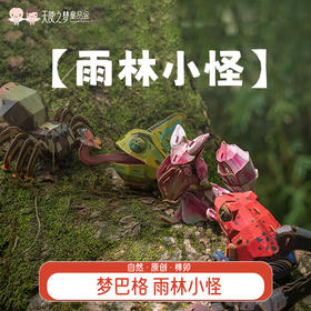 【代发】梦巴格儿童益智玩具 中国国家地理 雨林小怪集系列