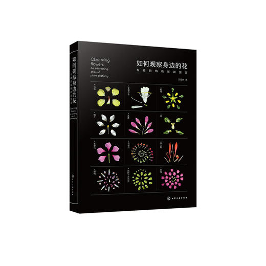 《如何观察身边的花：有趣的植物解剖图鉴》 商品图0