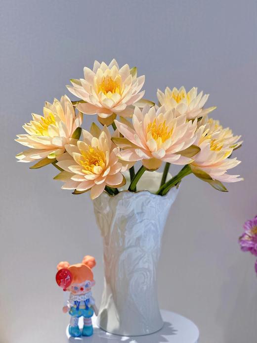 【AB级睡莲】10支/份 颜色自选 商品图8