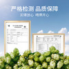 豪铂熊（BearBeer）德国精酿小麦拉格黑啤浓烈啤酒500ml*12听 春日聚会畅饮踏春送礼 商品缩略图1