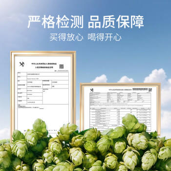 豪铂熊（BearBeer）德国精酿小麦拉格黑啤浓烈啤酒500ml*12听 春日聚会畅饮踏春送礼 商品图1