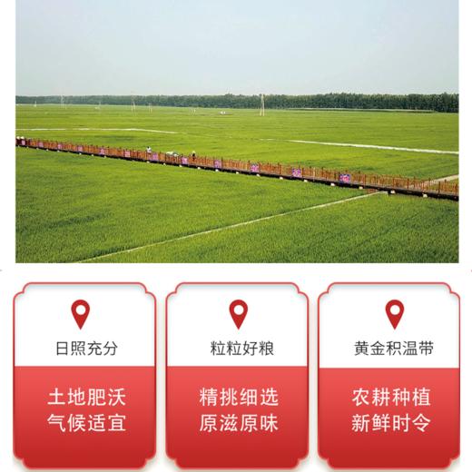 七里浮子15分钟快熟虾仁贝柱膳食粥料450g袋【XPTX】 商品图1