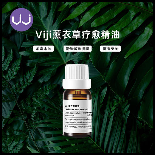 viji薰衣草精油 商品图1
