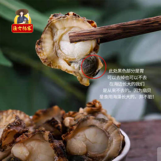 广东潮州杨栈记臻选深海全贝（鲍鱼仔）180g/盒 商品图1