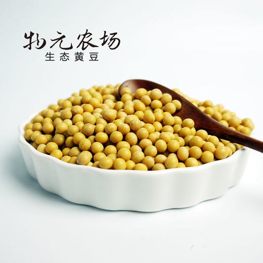丨有机丨物元东北地道黄豆 可炒 可煮 可发芽 可豆浆 商品图3
