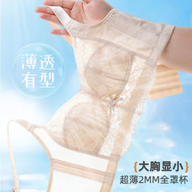 雅黛俪女士文胸大胸显小显瘦全罩杯调整型内衣性感蕾丝夏季薄款胸罩