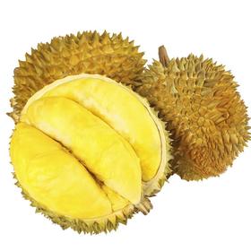 金枕榴莲（精选）约5斤（超重补差价） /个