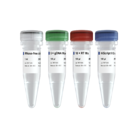 miRNA 1st Strand cDNA Synthesis Kit (by stem-loop)