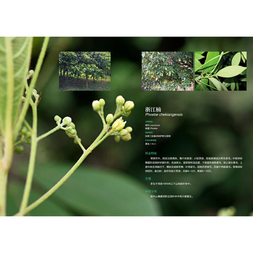 遇见生灵 海盐县生物多样性图鉴 商品图3