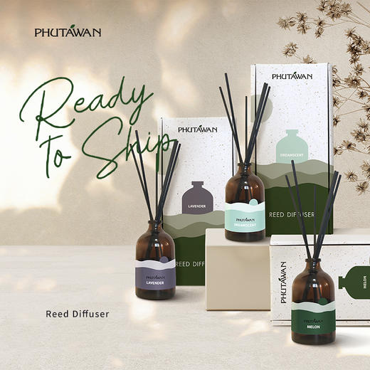 普达湾泰国进口无火藤条香薰精油50ml/瓶  卧室家用室内持久扩香   A-5214 商品图2