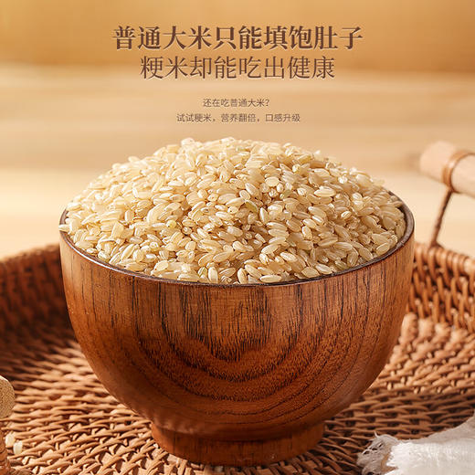 福东海 粳米1kg 梗米 黄粳米正宗 煮粥煮饭煲糖水 商品图1