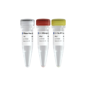 HiScript II Q RT SuperMix for qPCR