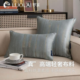 罗莱软装抱枕靠垫-光落冰峰