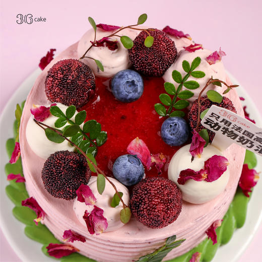 迷你多肉杨梅荔枝，可选4英寸 商品图1