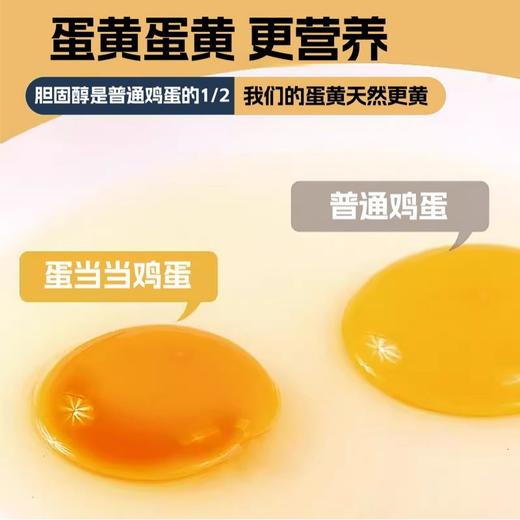 蛋当当可生食无抗鸡蛋 商品图4