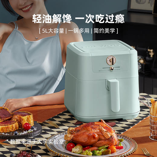 大宇 空气炸锅K11 5L大容量 一锅多用 满足一家日常料理 72小时发货 商品图1