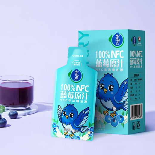 【奕汁己】北川奕米蓝莓汁 非浓缩原浆饮料 蓝莓原汁NFC花青素果汁30ML*10袋 商品图2