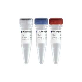 HiScript II One Step RT-PCR Kit (Dye Plus)