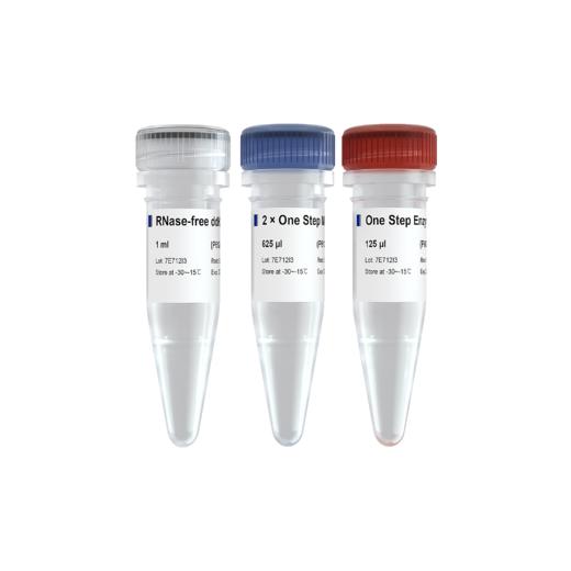 HiScript II One Step RT-PCR Kit (Dye Plus) 商品图0