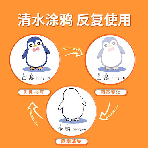 【送注水画笔❗魔法涂鸦认知卡】认知更清晰，正面认知，反面清水涂鸦，反复使用，早教闪卡儿童益智玩具魔法水写笔黑白卡彩色QQ 商品图2