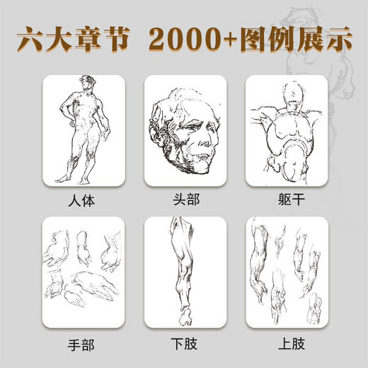 伯里曼人体结构绘画教学人体结构入门教程解剖动态骨骼透视艺考生美术生专用人体素描速写临摹基础初学者入门技法套装 商品图1