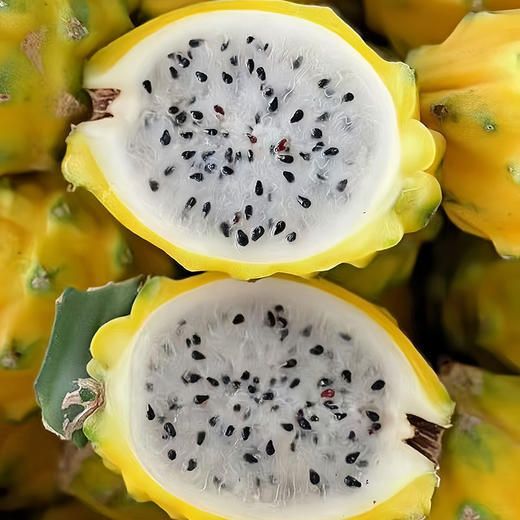 【519直播】海南黄金燕窝果-2斤礼盒3-4两(5-7个) 商品图0