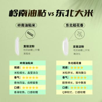 宋稻家 岭南油粘米5斤 南方大米籼米团购 丝苗米猫牙米 /粮油调味 /米 /油粘米 商品图4