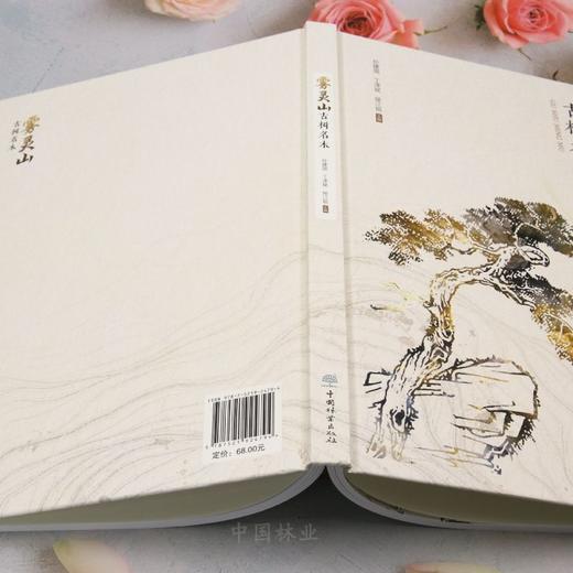 雾灵山古树名木 &2479 商品图4