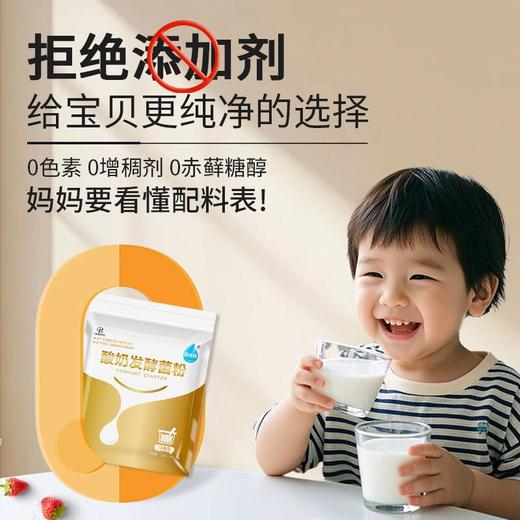佰生优酸奶发酵菌粉10菌10g 商品图1