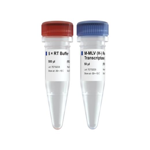 M-MLV (H-) Reverse Transcriptase 商品图0