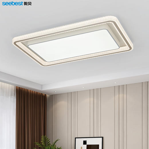 洛羽系列-客厅灯 商品图0