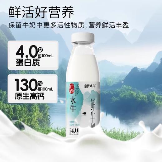 【顺丰包邮】皇氏乳业水牛4.0鲜牛奶260mL*12瓶 商品图2