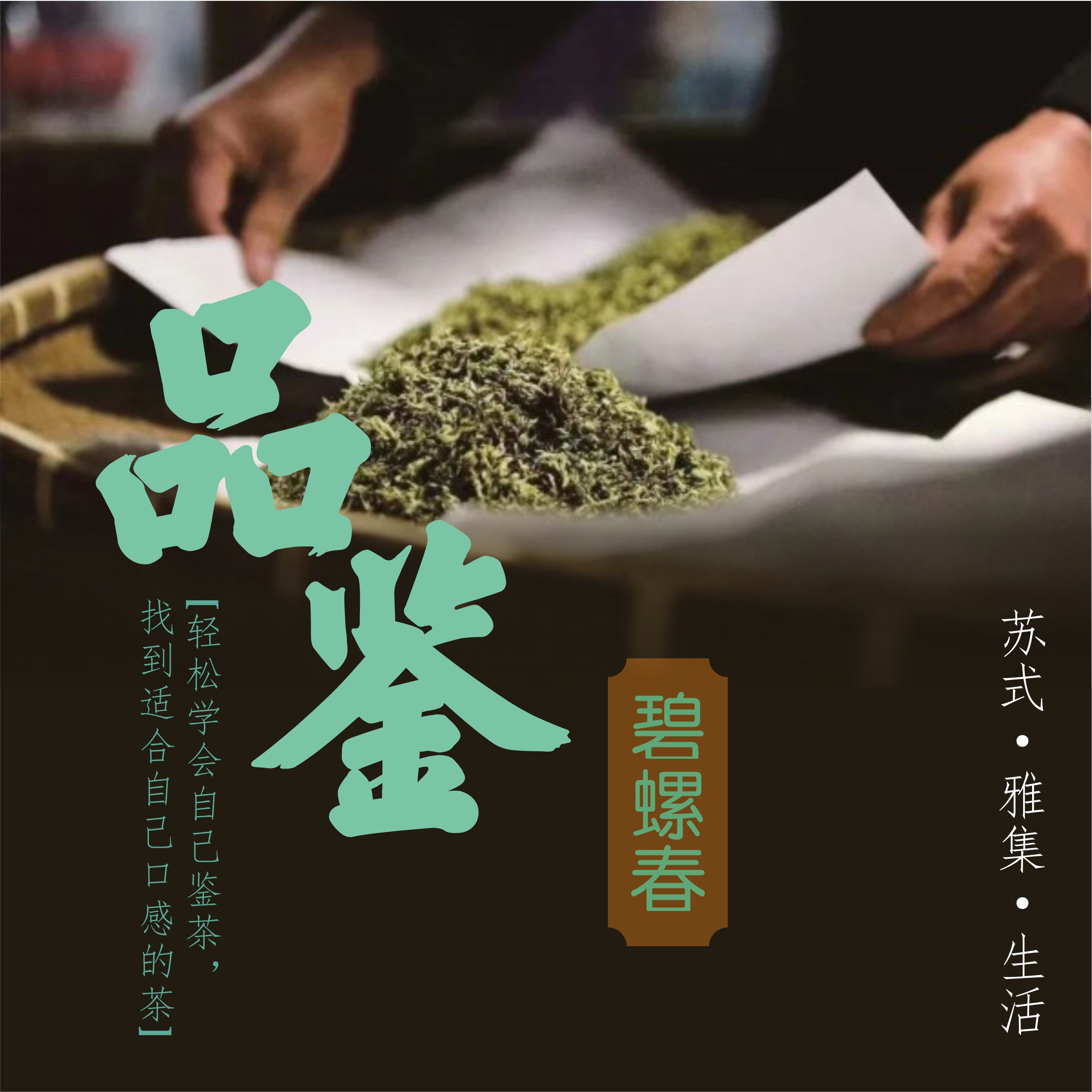 吴事可作 · 碧螺春品鉴体验