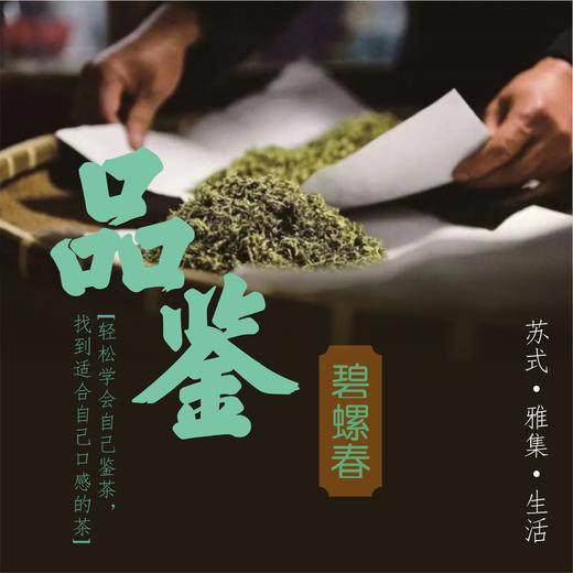 吴事可作 · 碧螺春品鉴体验 商品图0