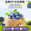 臻桦有机蓝莓果干500g袋【XPTX】 商品缩略图3