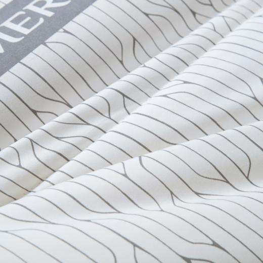 水星家纺M舒静安眠·负离子净醛·大豆抗菌冬厚被(烟岚云岫) 商品图1