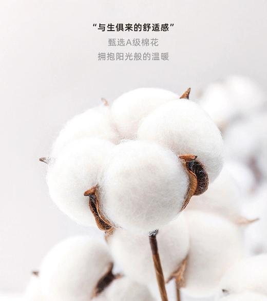 工装小A利落精简OL百搭气质 商品图6