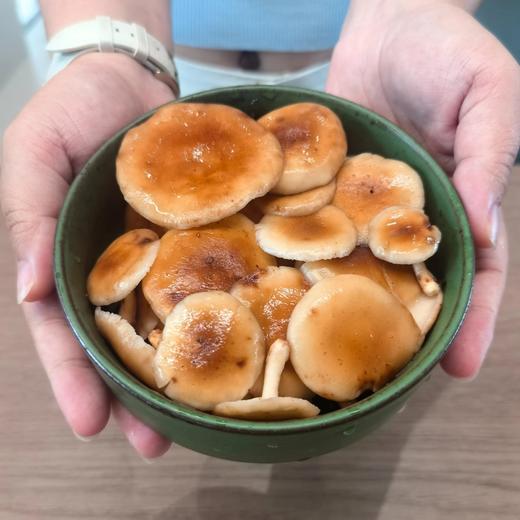 顺丰空运云南深山野生小香蕈头水雨前菇菌肉脆嫩香滑鲜味物质浓度是干菇的3倍无需味精自然鲜香直击味蕾基地直邮 商品图1