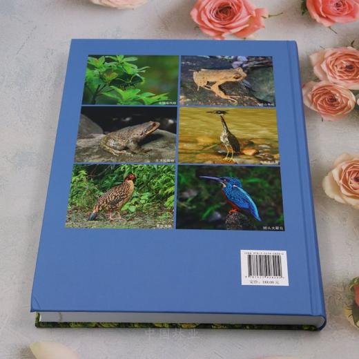 江西九连山国家级自然保护区生物多样性综合科学考察报告 &2820 商品图2