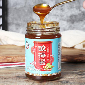 瑞心意酸梅酱青梅子酱250g家用广东烧鹅烧烤叉烧烤鸭蘸酱潮汕特产 /粮油调味 /调味品 /复合调味料