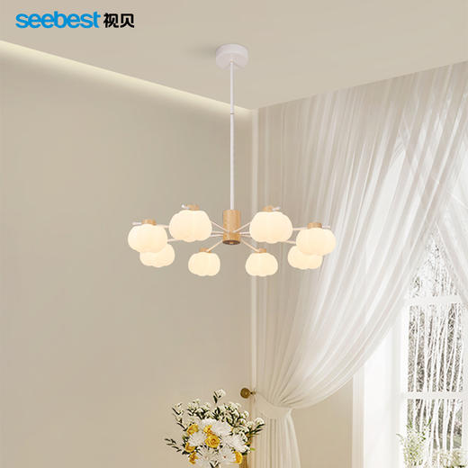 南瓜慕斯-花式吊灯 商品图2