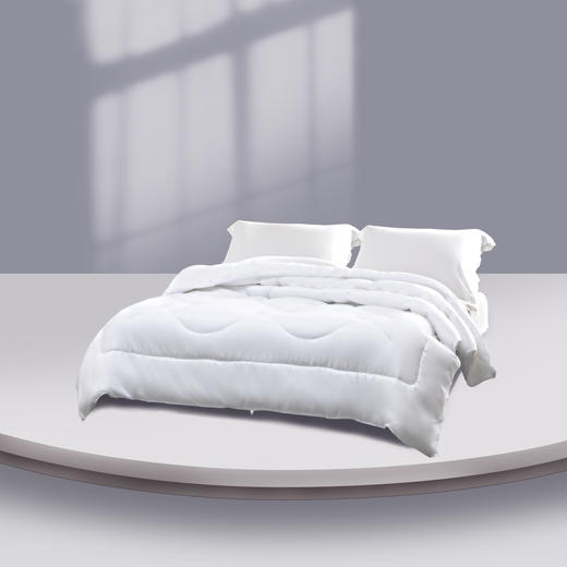 水星家纺依兰负离子抗菌被 商品图0